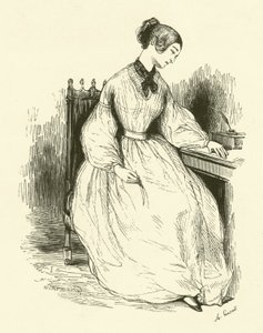 The Young Lady